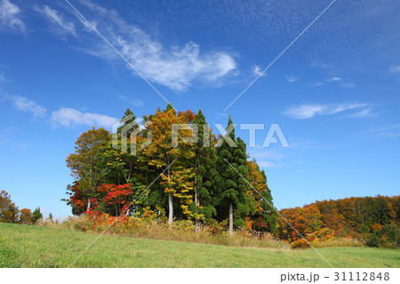 放牧場の秋 31112848