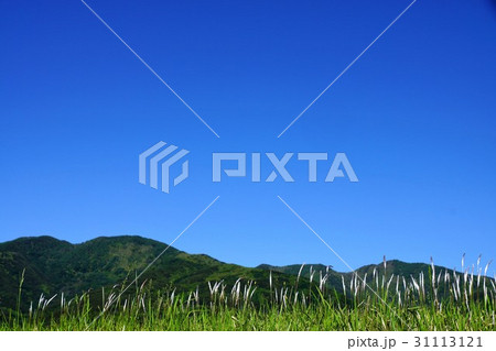 チガヤと虚空蔵山と大峰山 31113121