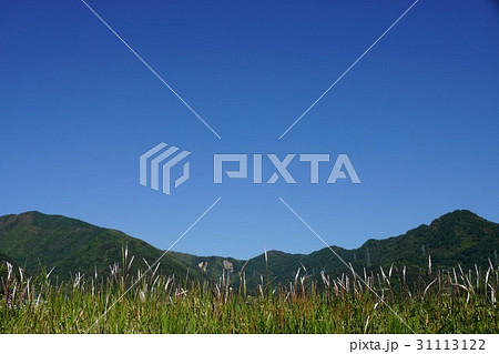 チガヤと虚空蔵山と大峰山 31113122