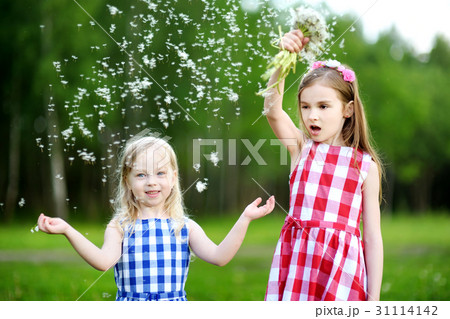 Two funny sisters playing with dandelion fluff Two funny sisters playing with dandelion fluff 31114142