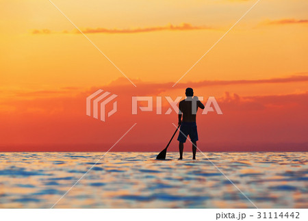 Black silhouette of paddle boarder standing on SUP 31114442