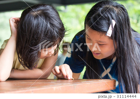 監視 観察 偵察 31114444