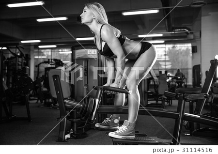 Beautiful sexy caucasian fitness girl training back in gym pumpi Beautiful sexy caucasian fitness girl training back in gym pumpi 31114516
