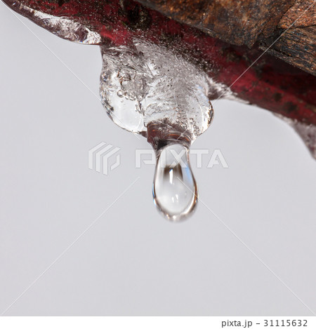 Spring Spring 31115632