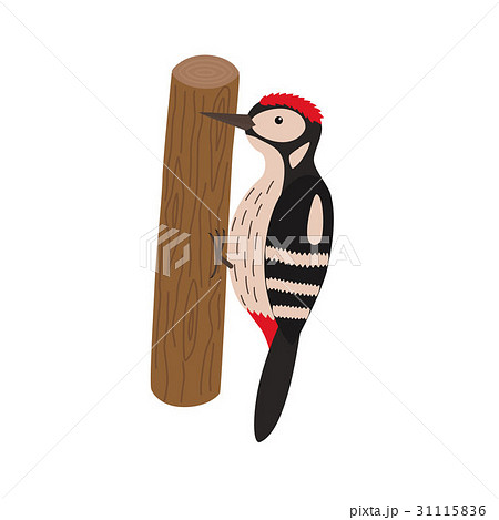 Cartoon woodpecker on a tree 31115836