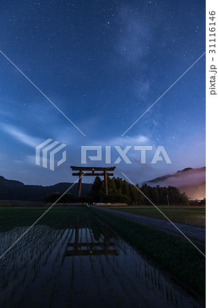 夜明け前の大斎原 31116146