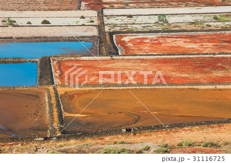 Salinas de Janubio, salt mine at lanzarote Salinas de Janubio, salt mine at lanzarote 31116725