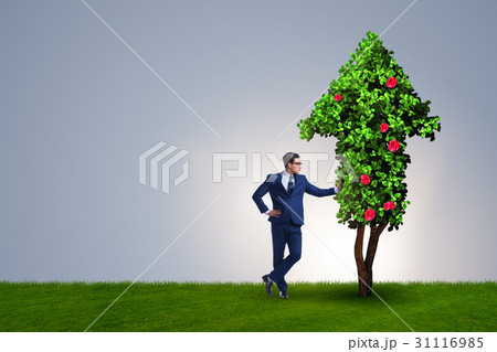 Businessman in sustainable green development 31116985