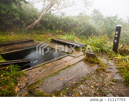 蓮華温泉　露天風呂 31117705