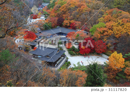 ソウル 鍾路区 昌徳宮 31117820