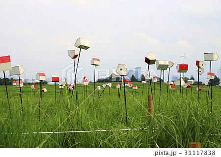 上岩洞 ソウル ワールドカップ公園 31117838