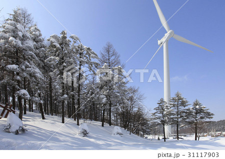 江原道 大関嶺 平昌郡 31117903