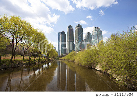 江南区 高層ビル 良才川 31117904
