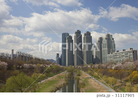 江南区 ソウル 良才川 31117905