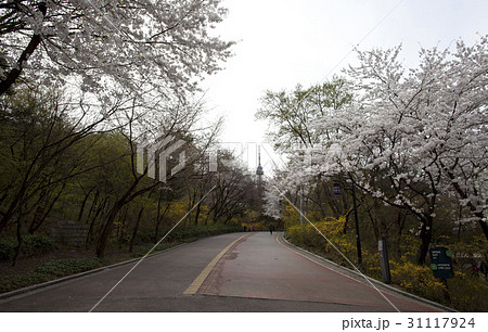 Nソウルタワー nソウルタワー 南山 31117924