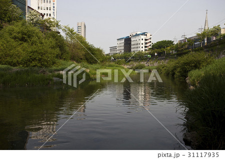 小川 木 城東区 31117935
