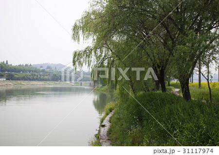 上手編み 頒布 ソウル 31117974