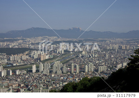 北朝鮮産 山 中浪区 31117979