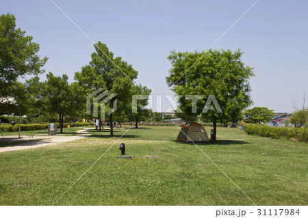 ソウル 芝生 テント 31117984