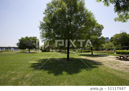 川 河 建築 31117987