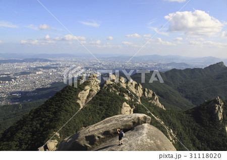 岩 石 グー 31118020