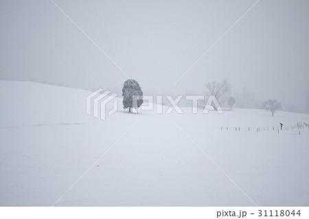 ソウル 屋外 室外 31118044