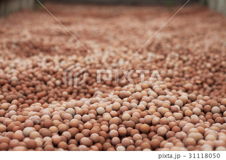 パム島 ソウル ジェットスキー 31118050