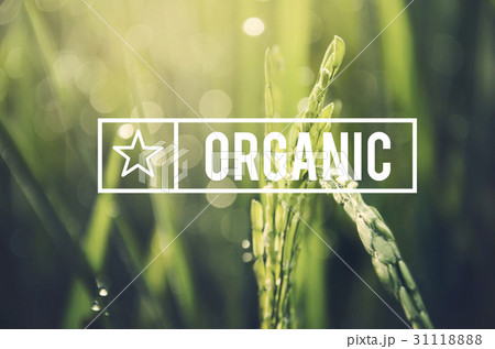 Alternative Farming Sustainable Nature Concept Alternative Farming Sustainable Nature Concept 31118888