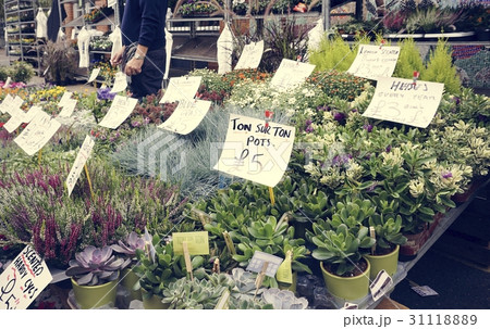 Botanical Business Retail Village Floral Bloom Botanical Business Retail Village Floral Bloom 31118889
