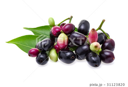 Jambolan plum or Java plum on white background 31123820