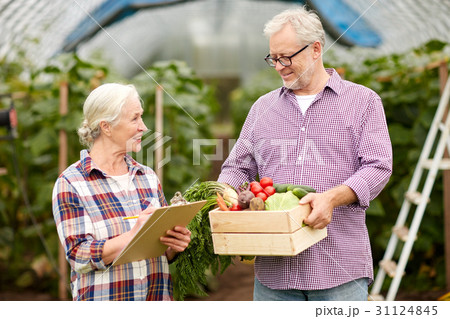 senior couple with box of vegetables on farm senior couple with box of vegetables on farm 31124845