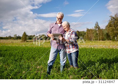 happy senior couple with tablet pc at summer farm 31124847