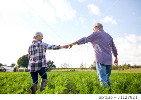 happy senior couple holding hands at summer farm happy senior couple holding hands at summer farm 31127921