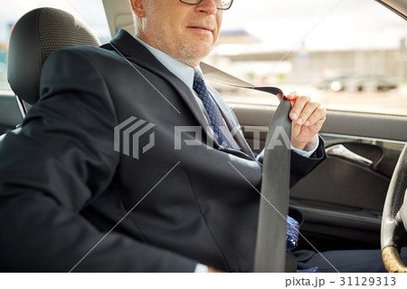 senior businessman fastening car seat belt senior businessman fastening car seat belt 31129313