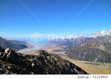 New Zealand　プカキ湖 31129985