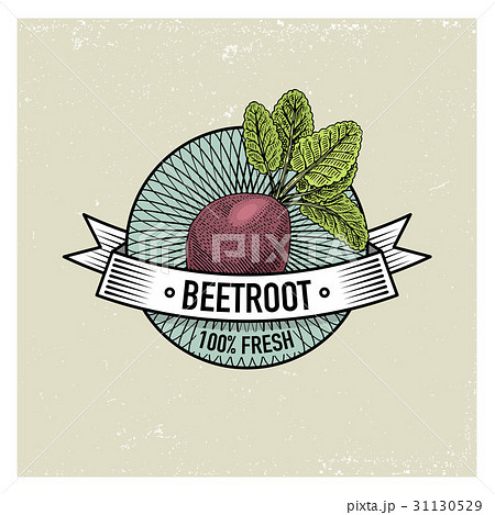 Beetroot Vintage set of labels, emblems or logo 31130529