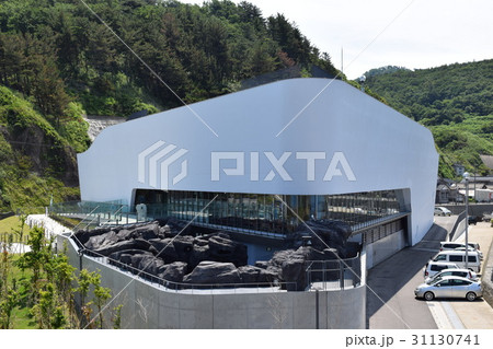 加茂水族館（ギネス世界記録認定） 31130741