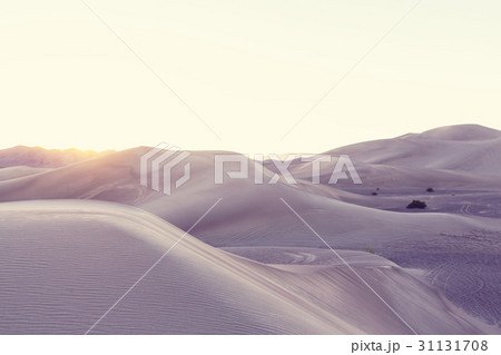 Sand dunes in California 31131708