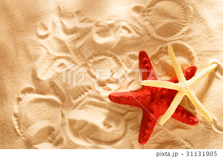 Two sea stars and prints in sand 31131905