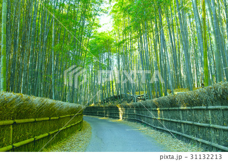京都 竹林と小道 京都 竹林と小道 31132213