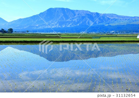 熊本県阿蘇山の田植え 31132654