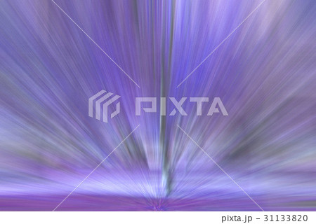 Abstract background. Blurred purple and blue light Abstract background. Blurred purple and blue light 31133820