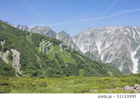 新緑の信州白馬、八方尾根自然研究路から見る雄大な北アルプス後立山連峰の天狗尾根の絶景 31133995