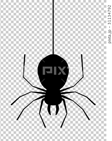 糸からぶら下がる蜘蛛のイラスト素材