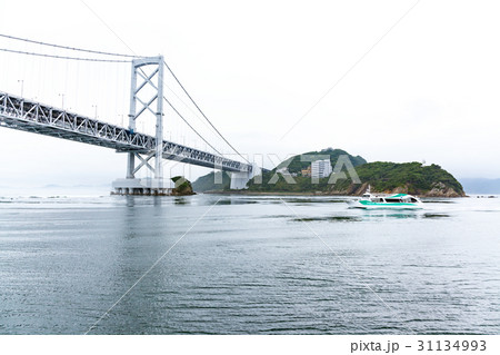 大鳴門橋 鳴門大橋 橋 観潮船 大鳴門橋 鳴門大橋 橋 観潮船 31134993