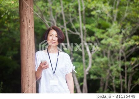 ビジネス　女性　通信　スマホ 31135449