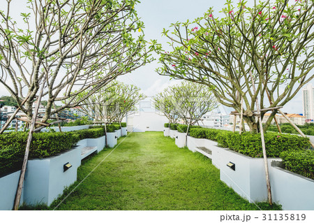 Modern garden on deck roof, green grass lawn 31135819