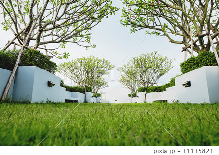 Modern garden on deck roof, green grass lawn 31135821