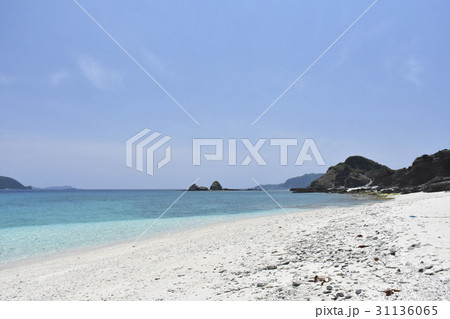 白い砂のビーチ 白い砂のビーチ 31136065