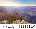 Amazing panorama view of Grand Canyon Hopi Point 31136316